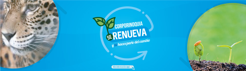 Participación para el diagnóstico de necesidades e identificación de problemas