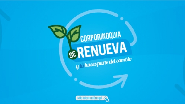 Participación para el diagnóstico de necesidades e identificación de problemas