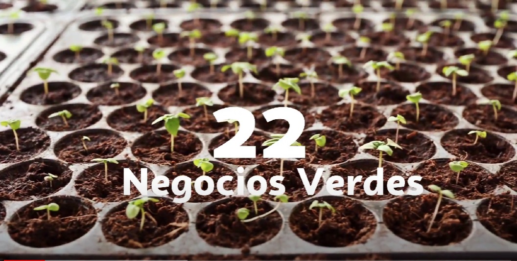 Negocios Verdes Corporinoquia