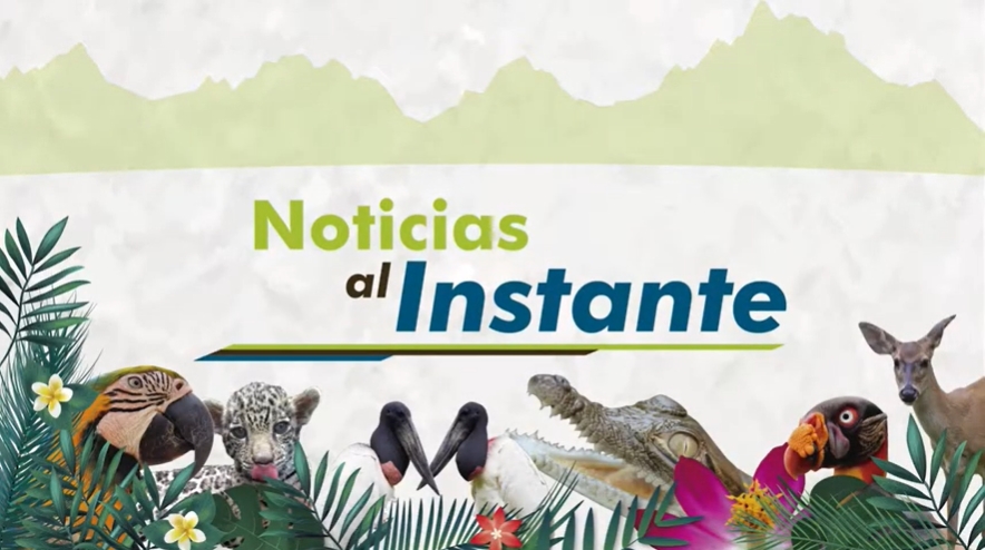 Noticias al instante edición 010 de 2017