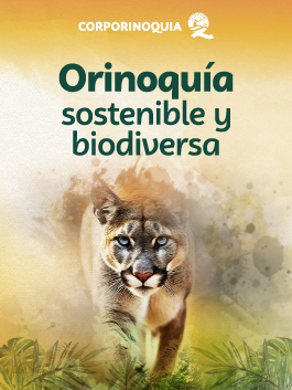 Corporinoquia, un pacto por nuestra tierra