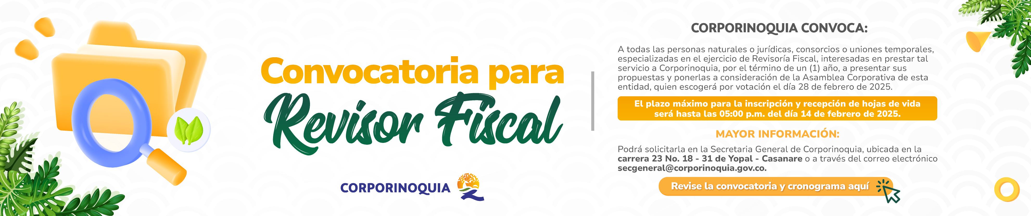 BANNER-REVISOR-FISCAL_2025