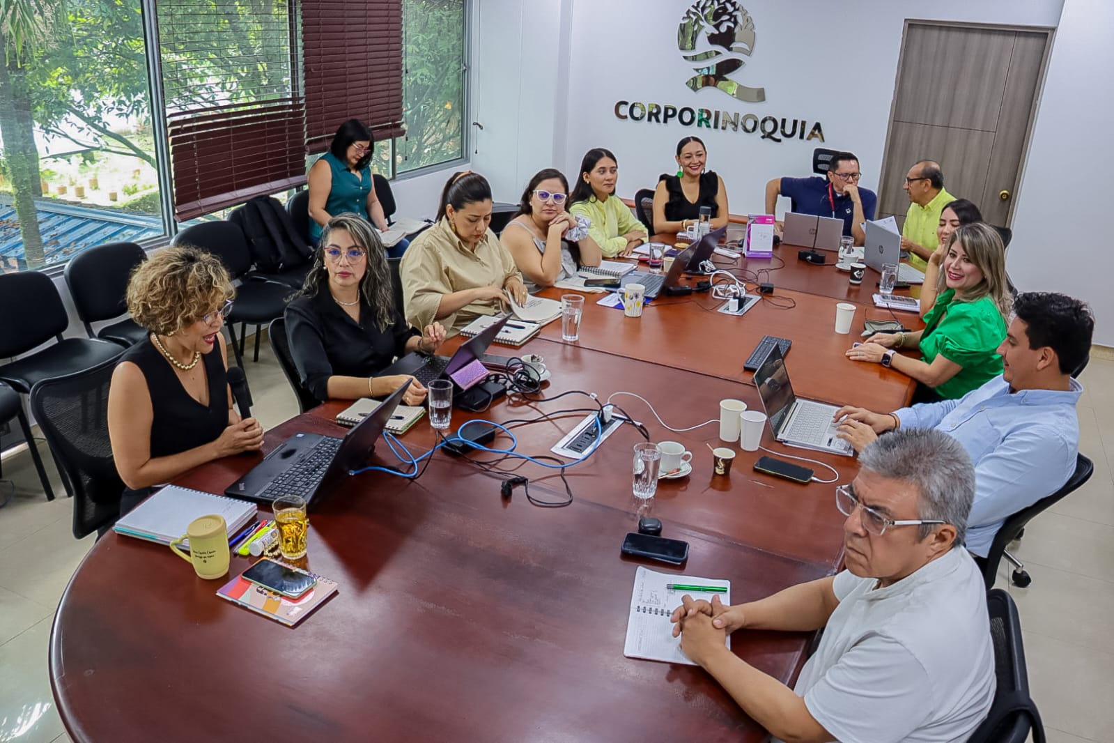 Aprobado informe del primer semestre del año 2025 de Corporinoquia