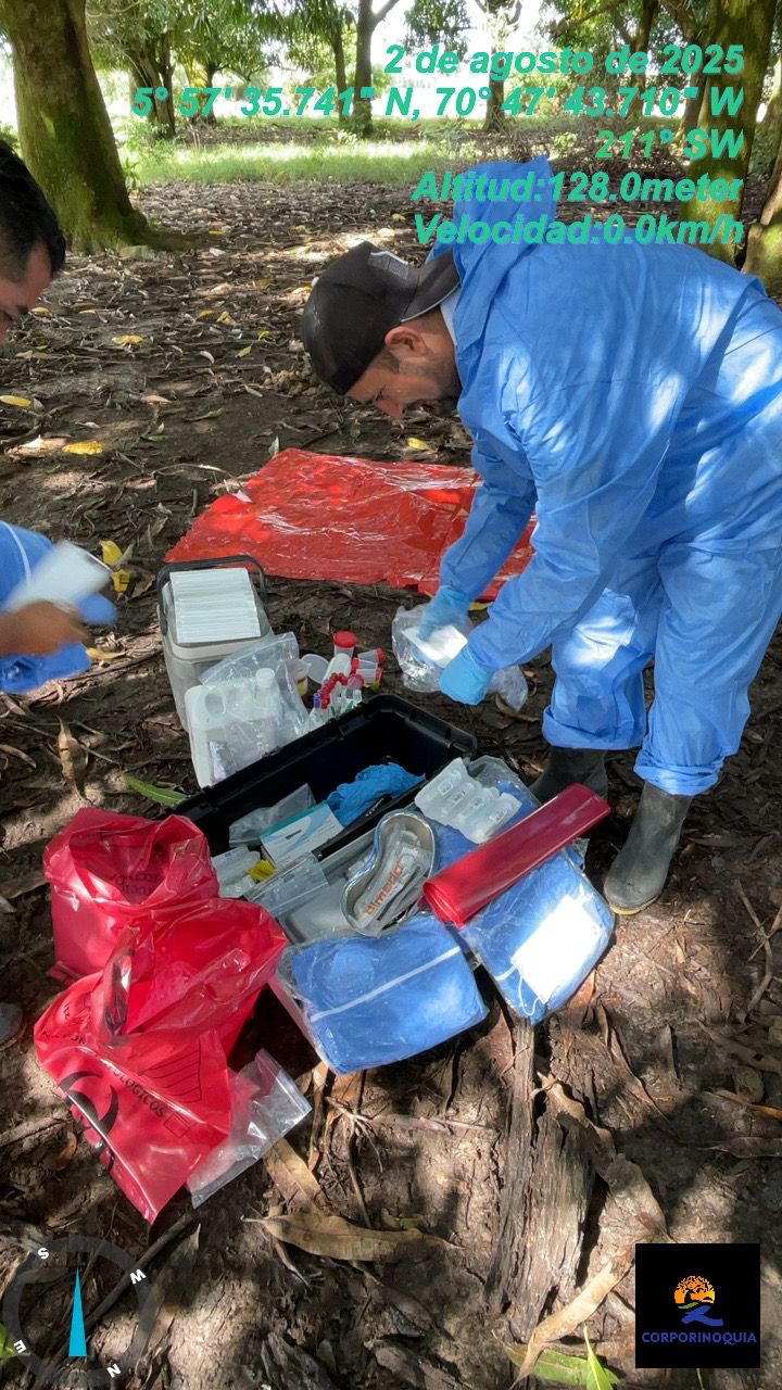 Alerta Sanitaria en Paz de Ariporo. ICA y Corporinoquia unen esfuerzos para proteger la fauna silvestre