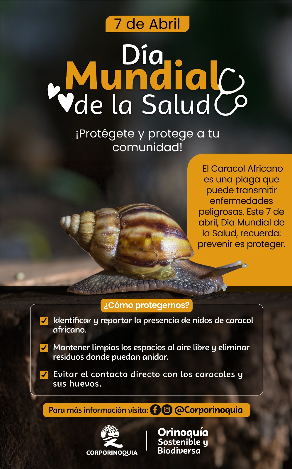Celebremos el Día Mundial de la Salud desde la misión medio ambiental de Corporinoquia en la Orinoquía