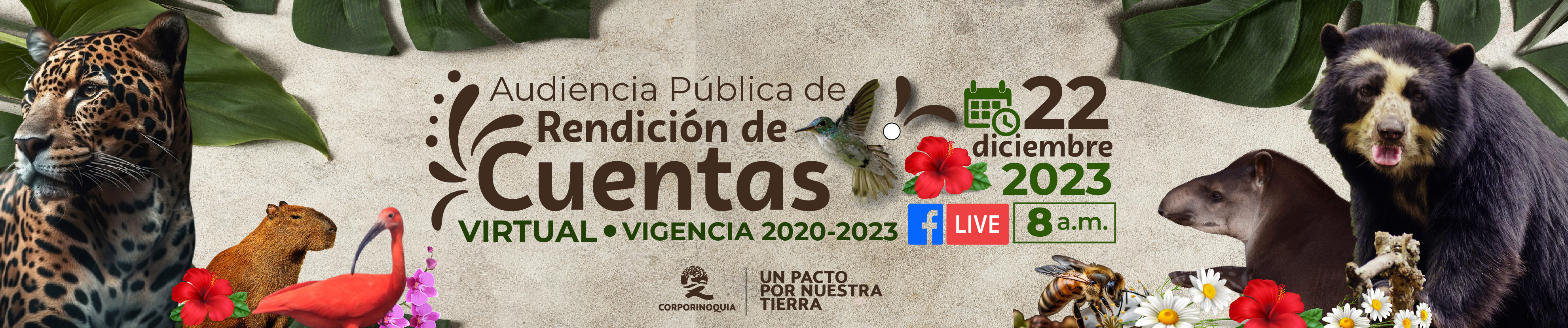 Banner Rendición de Cuentas