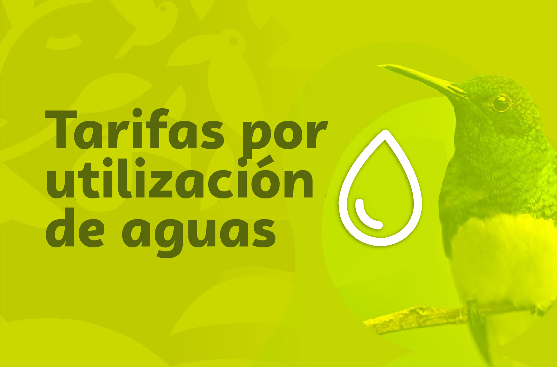 Tarifas por Utilización de Aguas