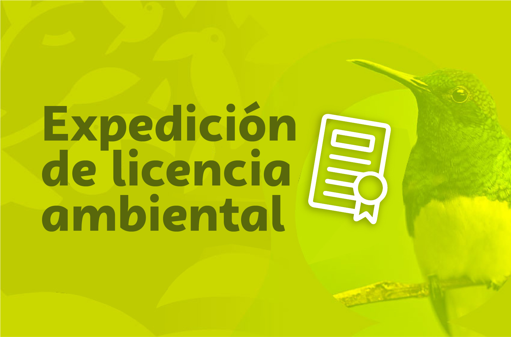 Expedición de licencia ambiental