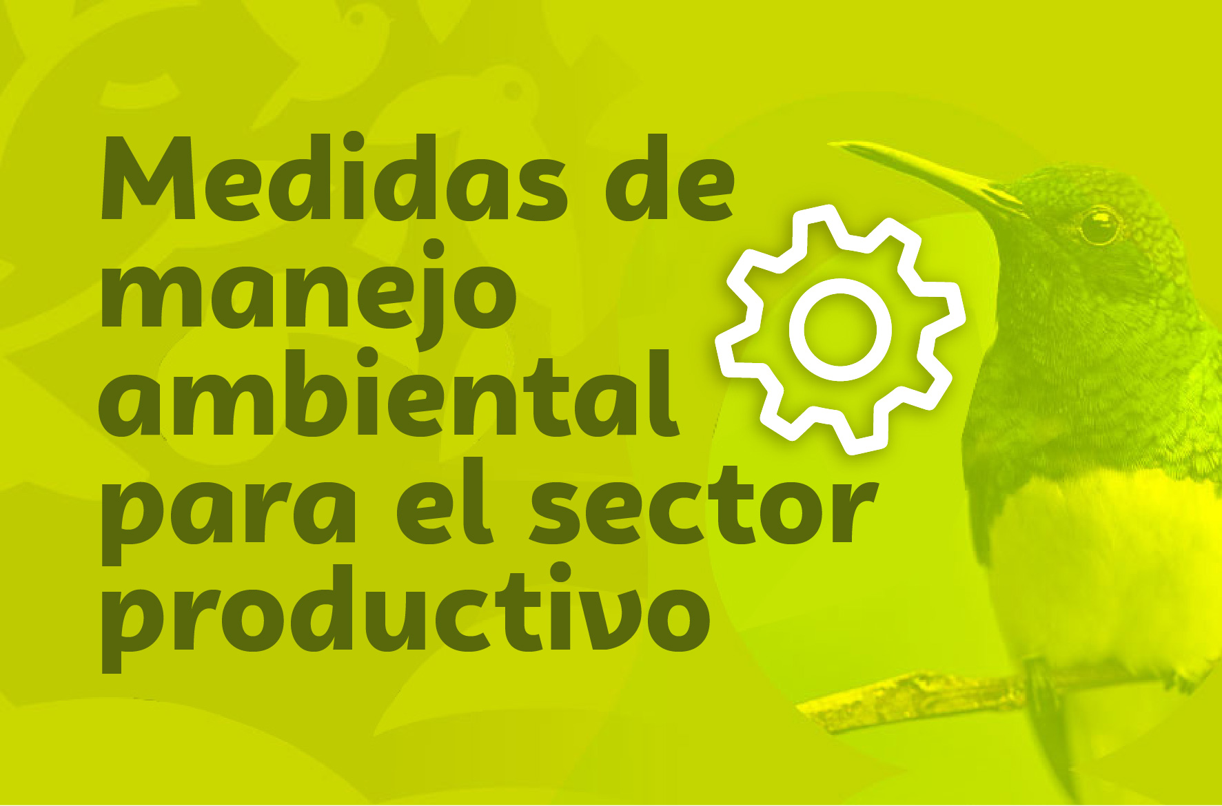 Medidas de manejo ambiental para el sector productivo (agrícola, forestal y agroindustrial)