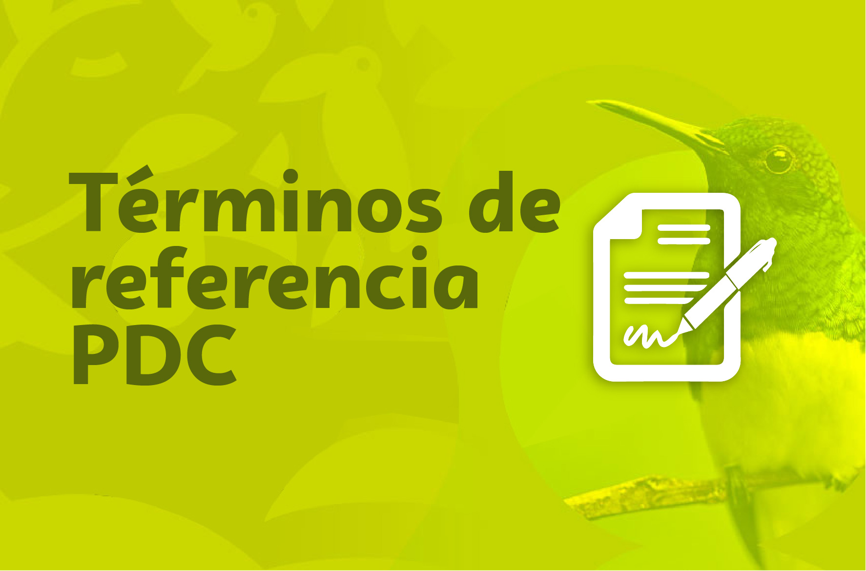 Términos de referencia PDC 