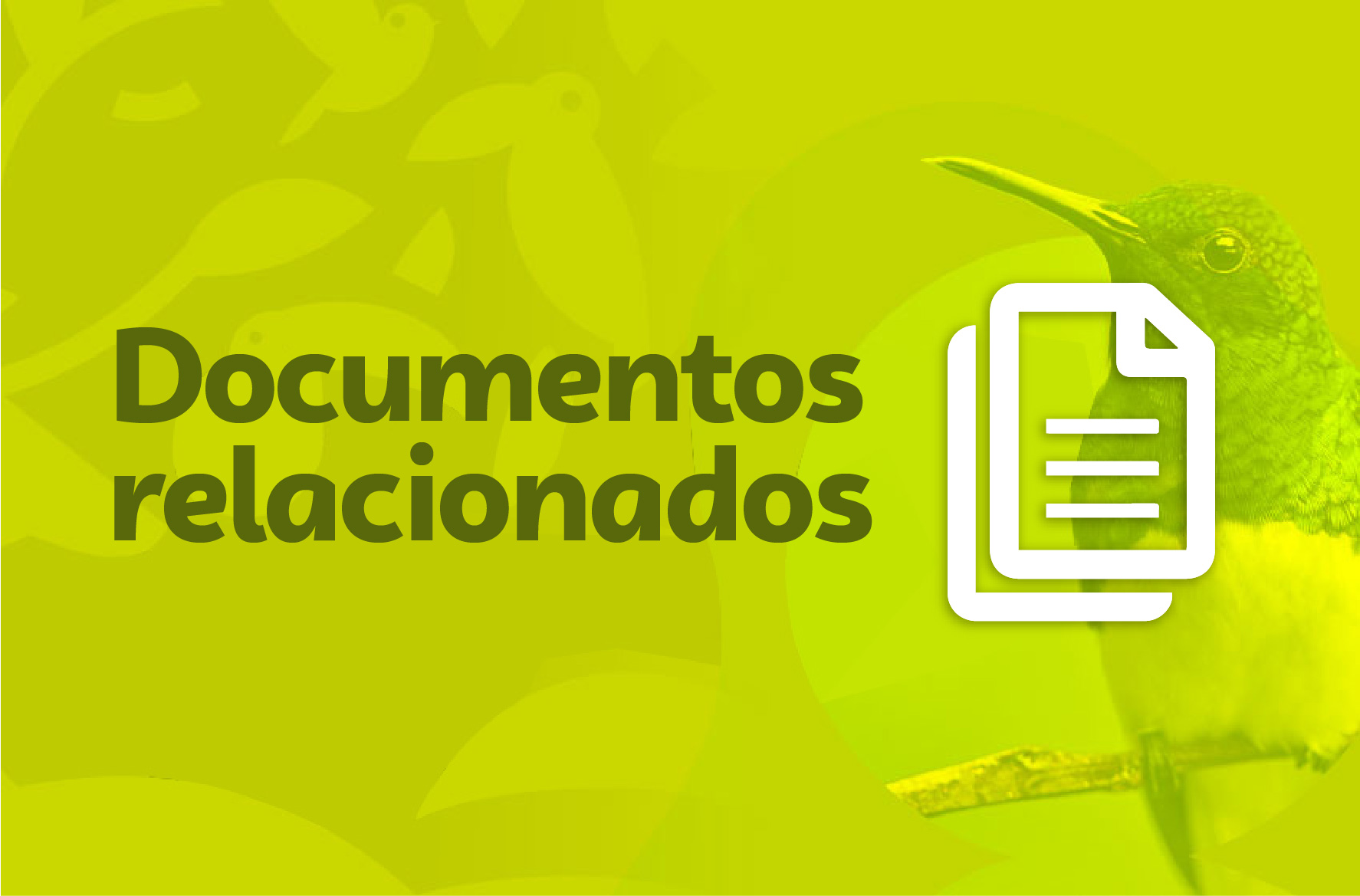 Documentos relacionados