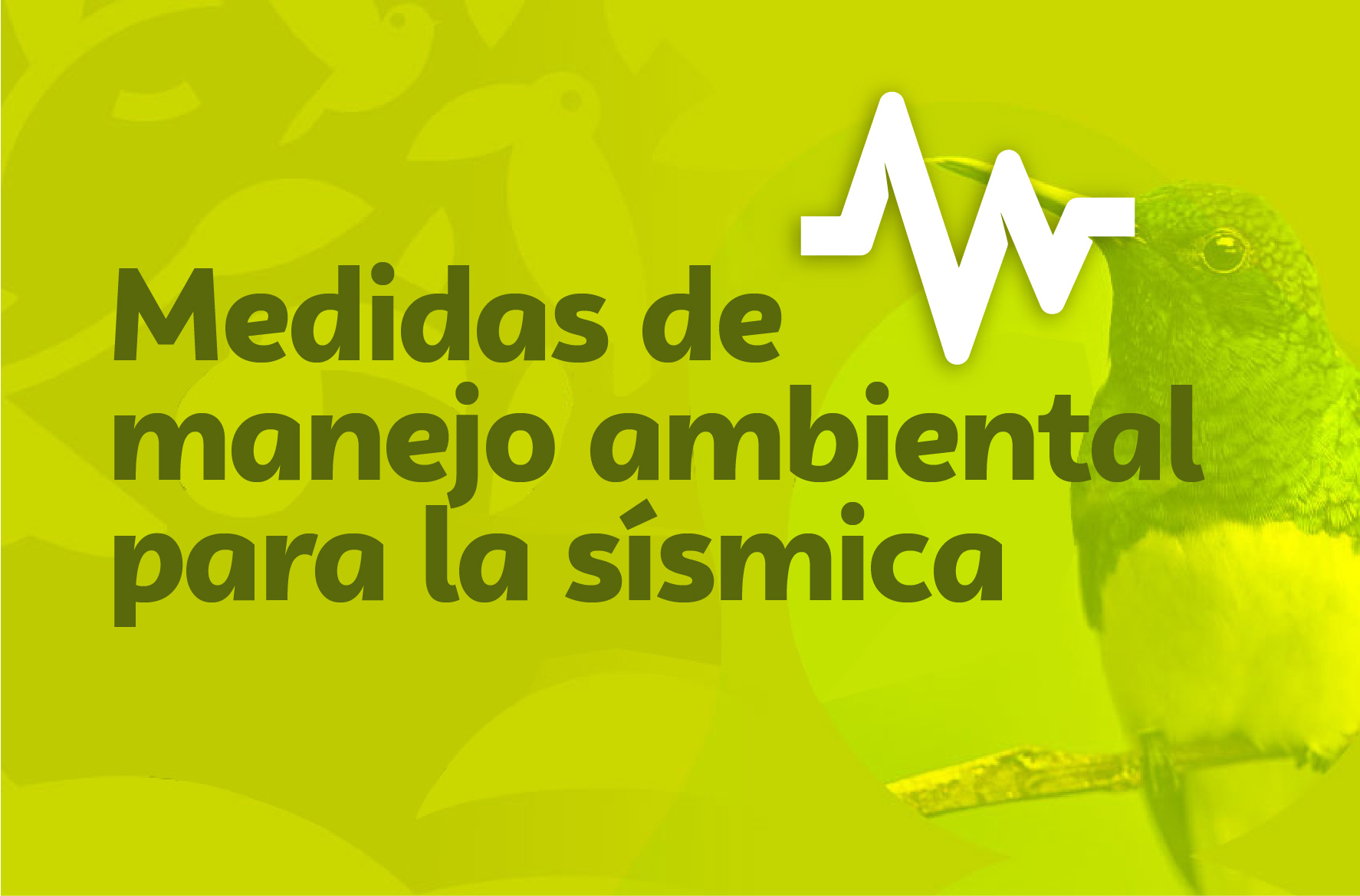 Medidas de manejo ambiental para la sísmica