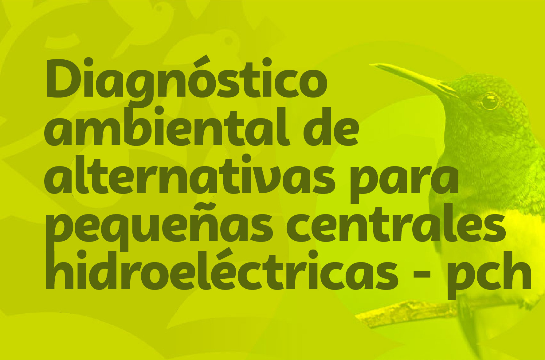 Diagnóstico ambiental de alternativas para pequeñas centrales hidroeléctricas - pch